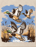 MALLARD SCENE