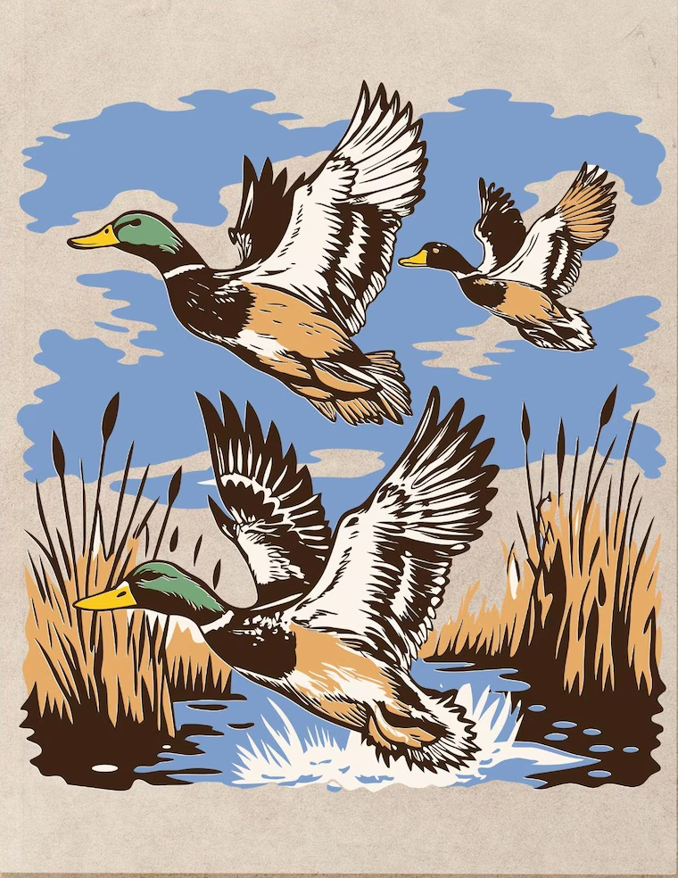MALLARD SCENE