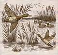 RETRO MALLARD SCENE